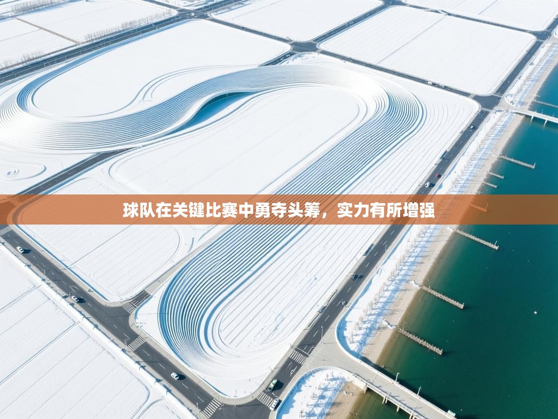 开云体育联赛专题页-球队在关键比赛中勇夺头筹，实力有所增强  第2张