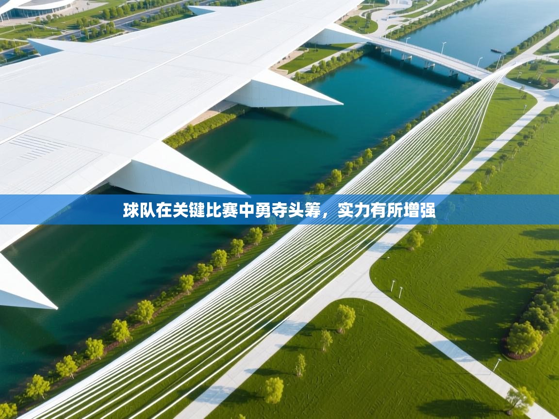 开云体育联赛专题页-球队在关键比赛中勇夺头筹，实力有所增强  第4张