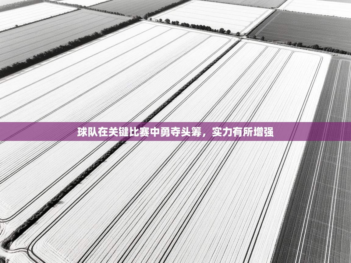 开云体育联赛专题页-球队在关键比赛中勇夺头筹，实力有所增强  第3张