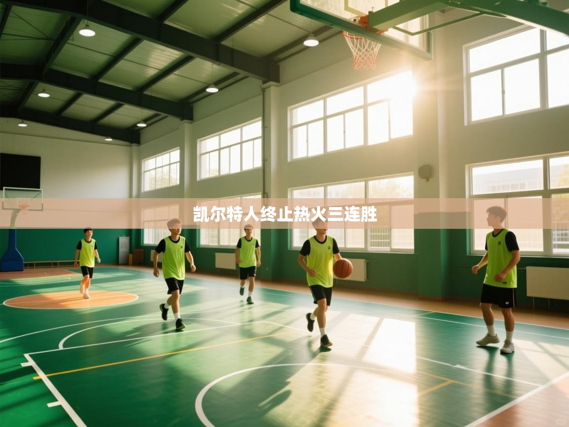 开云体育app官网下载地址-凯尔特人终止热火三连胜  第3张