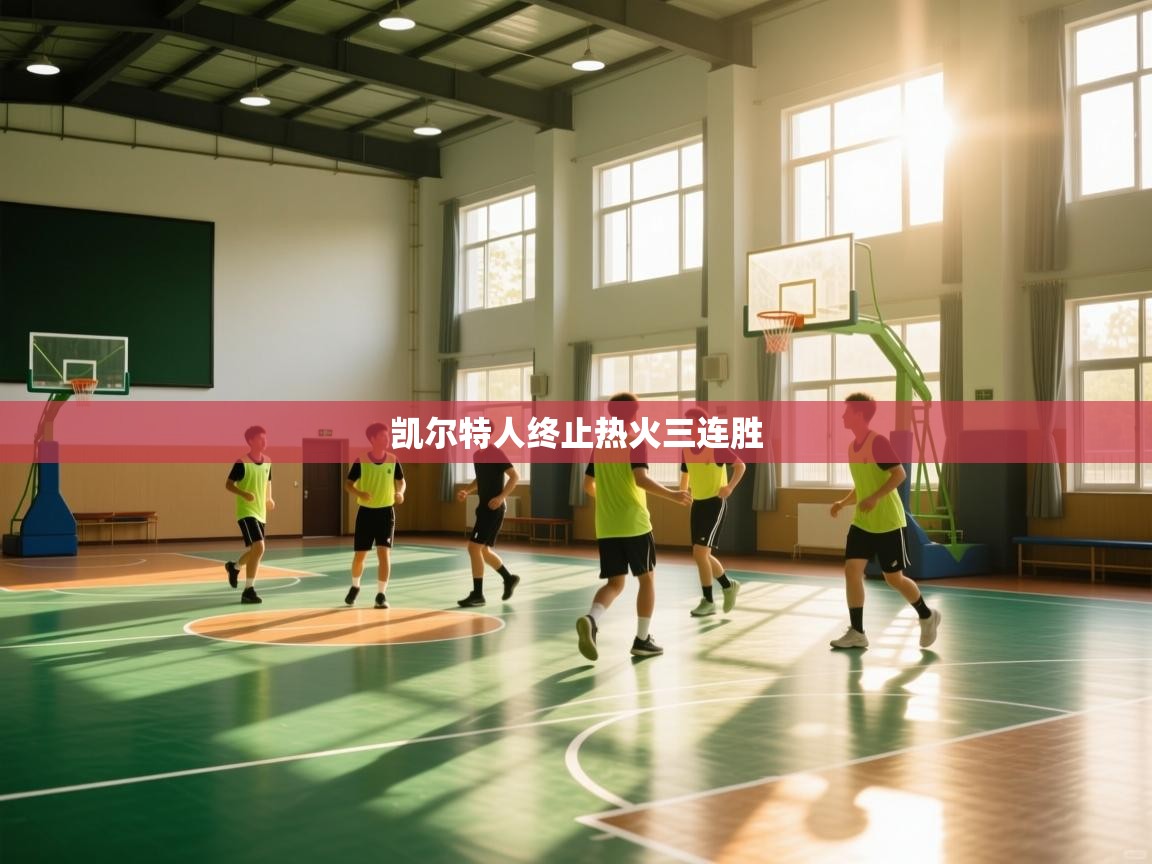 开云体育app官网下载地址-凯尔特人终止热火三连胜  第4张